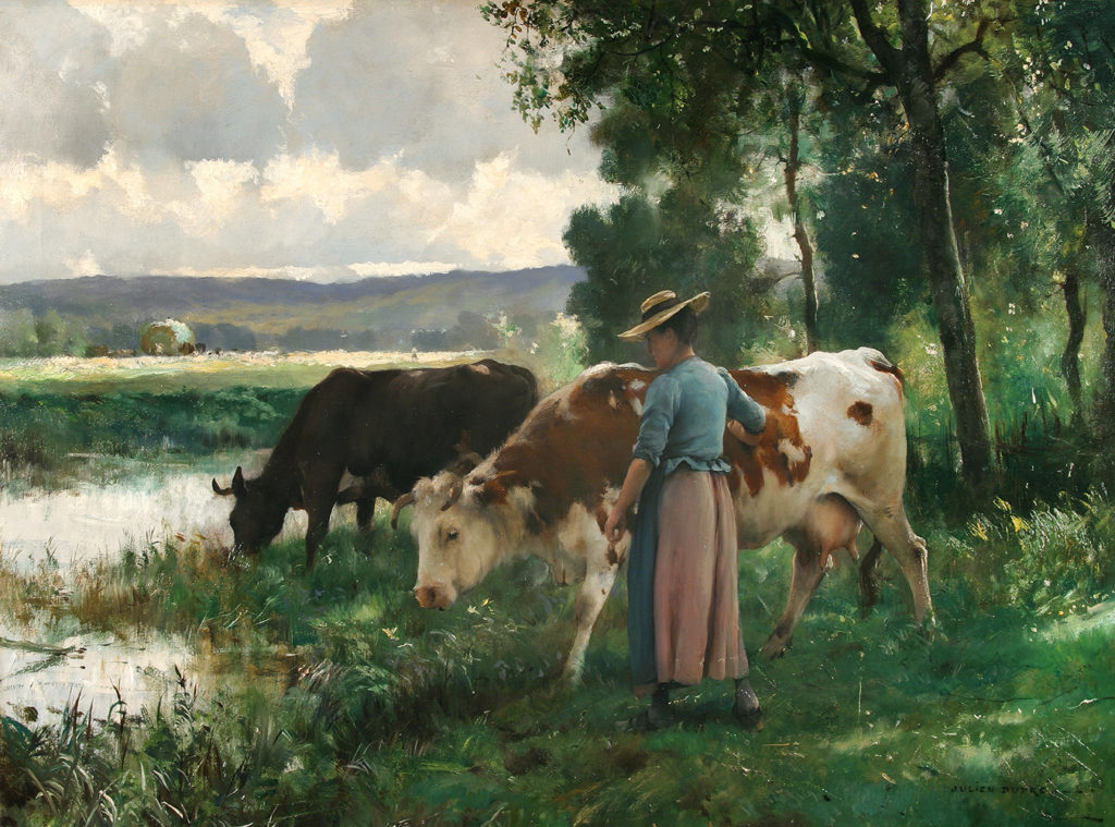 woman with cows