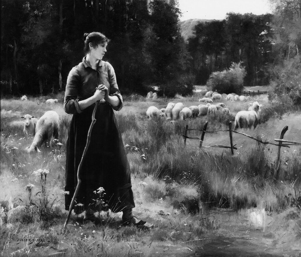 Shepherdess with flock of sheep