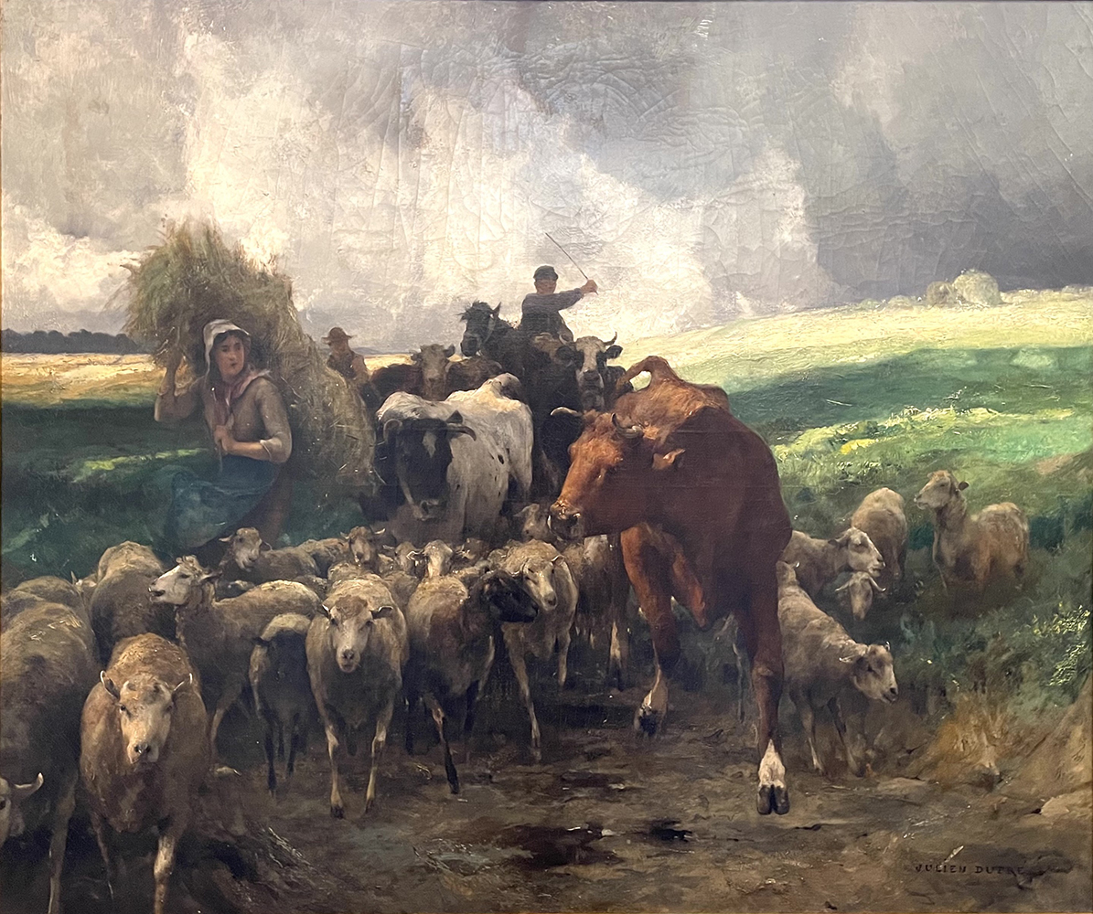 woman and man with sheep and cows