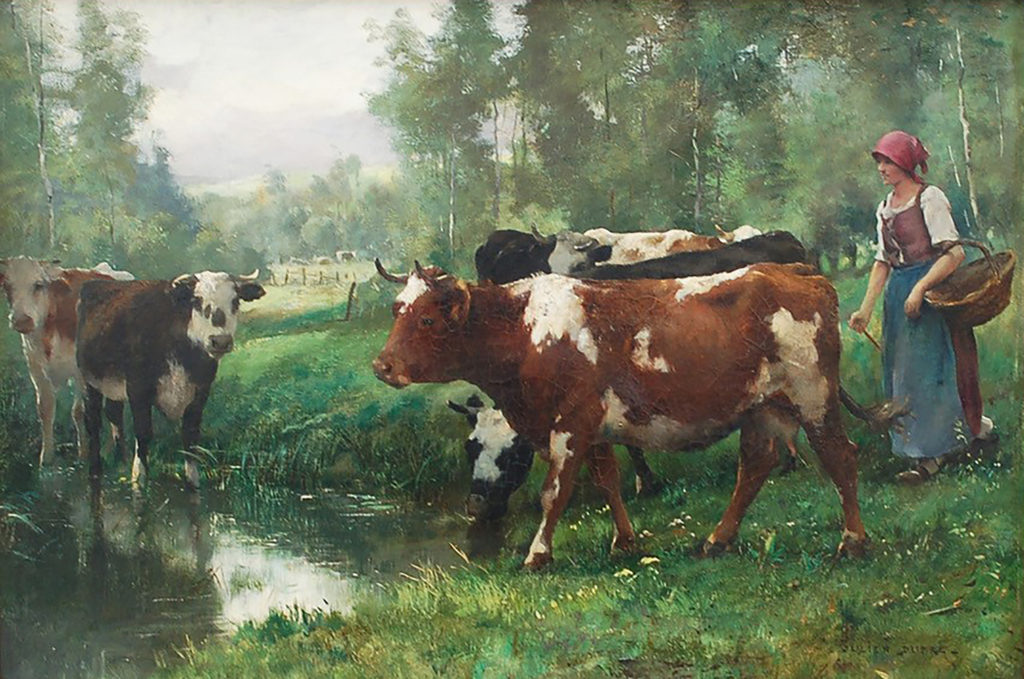 woman with cows by the water