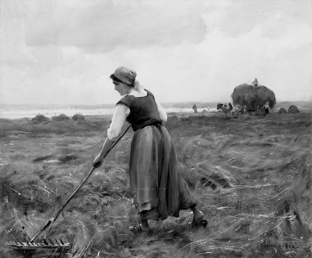 woman raking hay