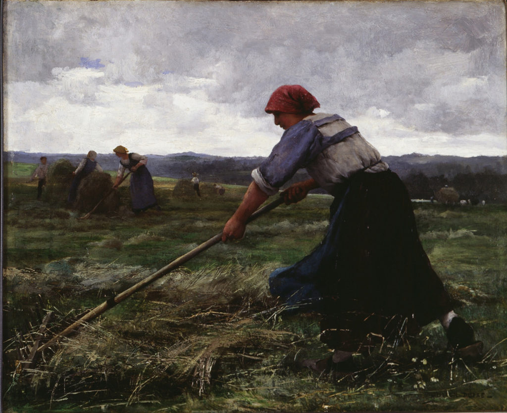 Women raking hay in the field